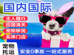 梅州梅县航空邮寄国际宠物托运 【国